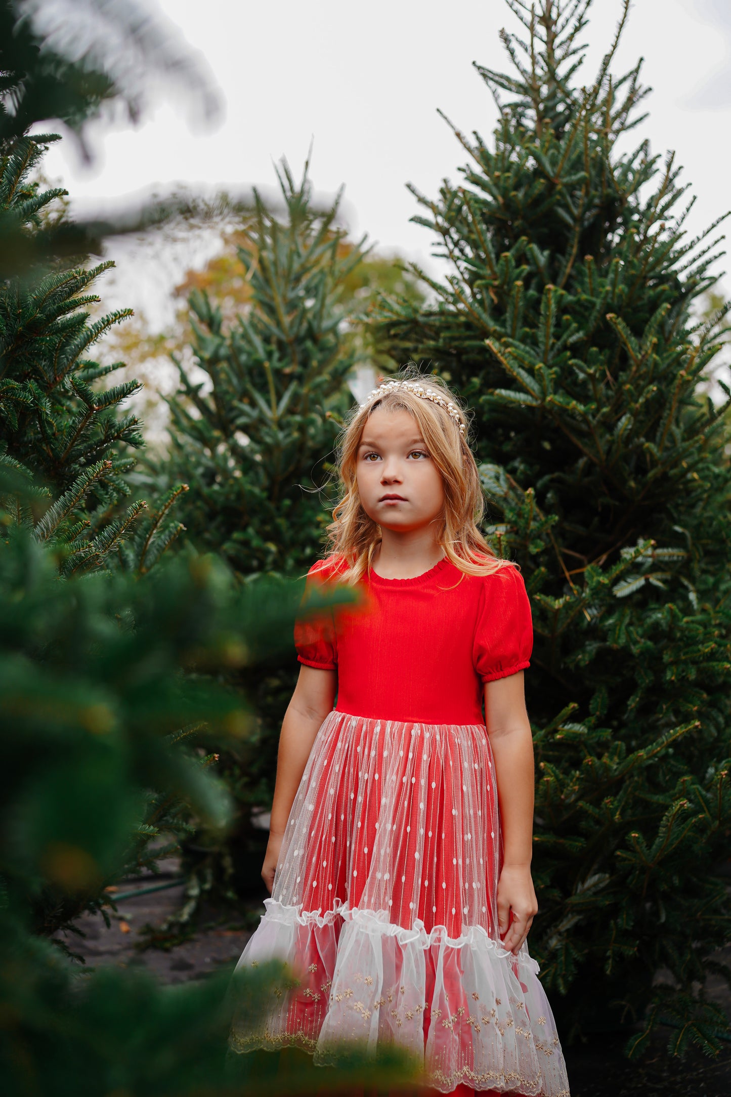 Madeline's Enchanted Ruby Holiday dress - READY TO SHIP
