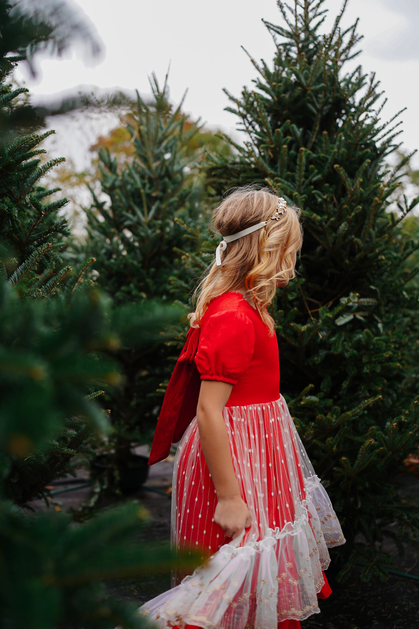 Madeline's Enchanted Ruby Holiday dress - READY TO SHIP