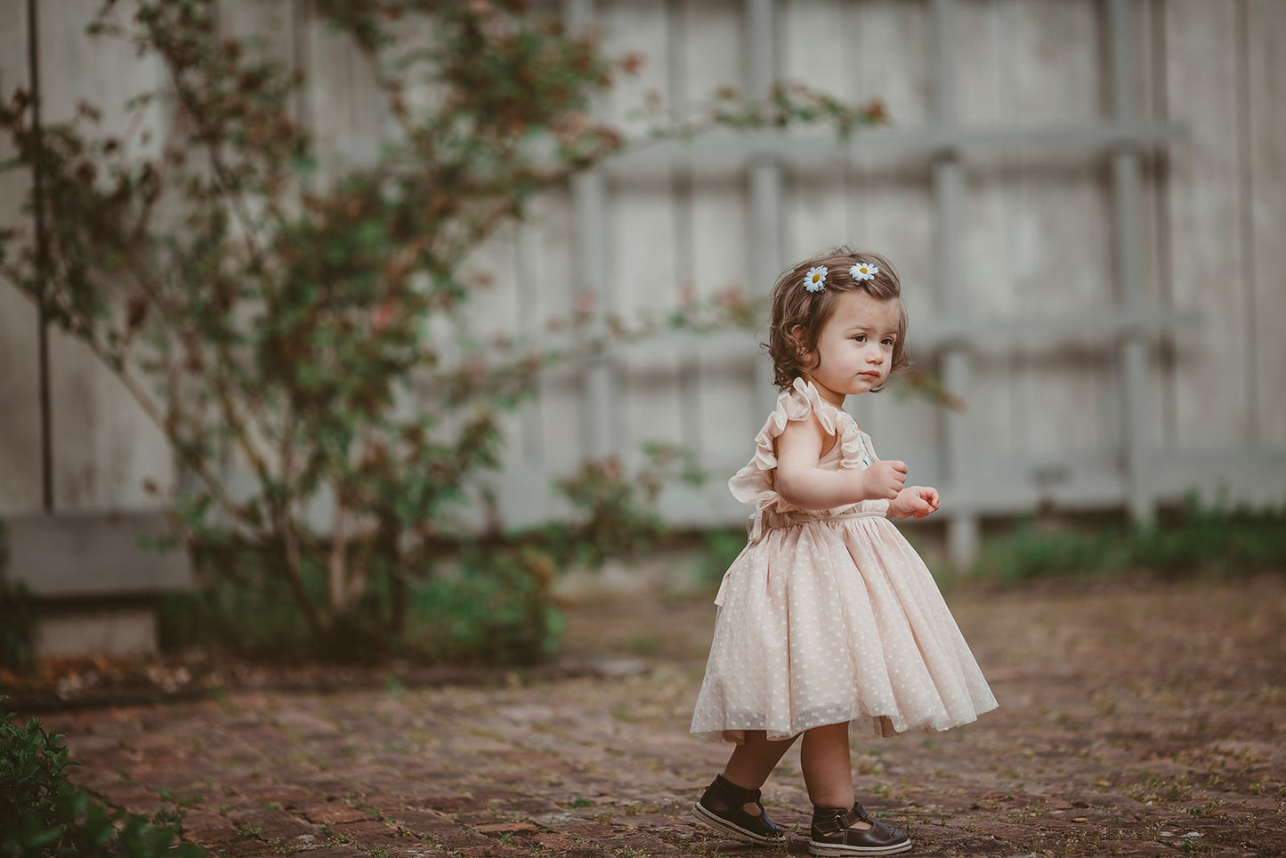 Millie's Daisies Tulle Dress - Ready To Ship