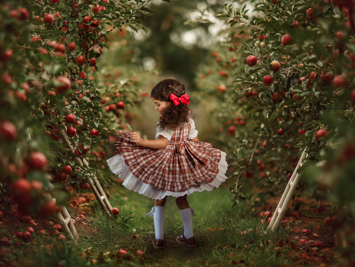 Countryside Cider Apron Dress