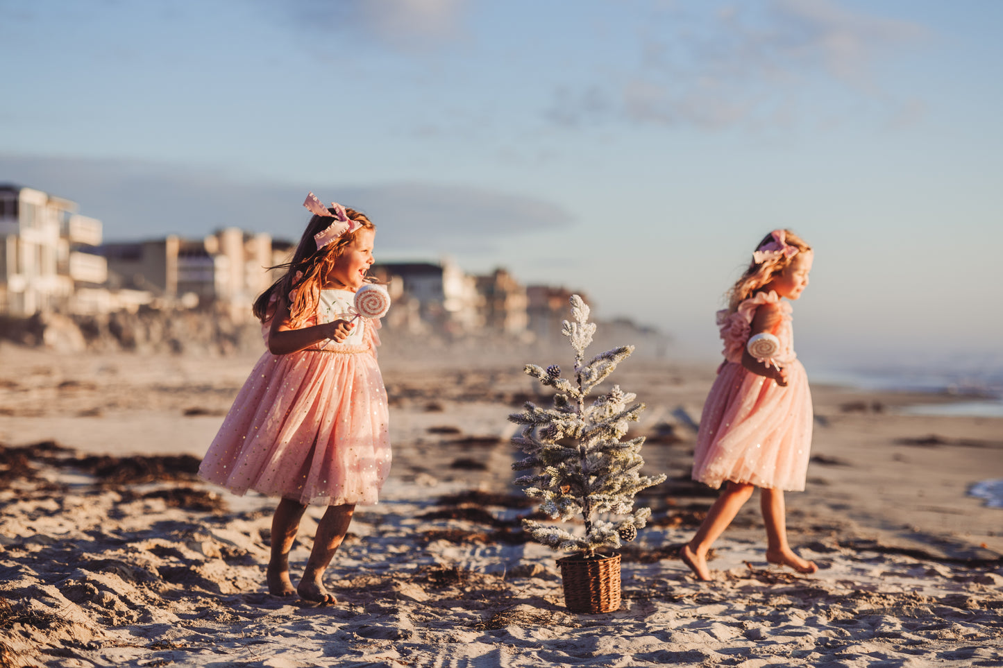 Clara's Enchanted Millie Dress - PREORDER
