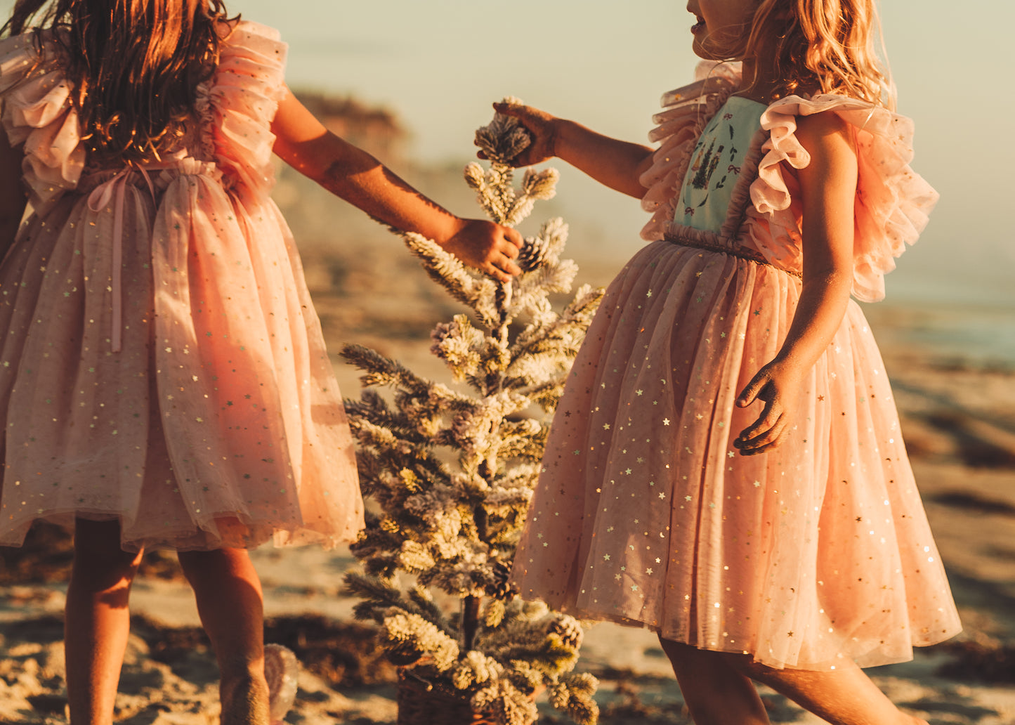 Clara's Enchanted Millie Dress - PREORDER