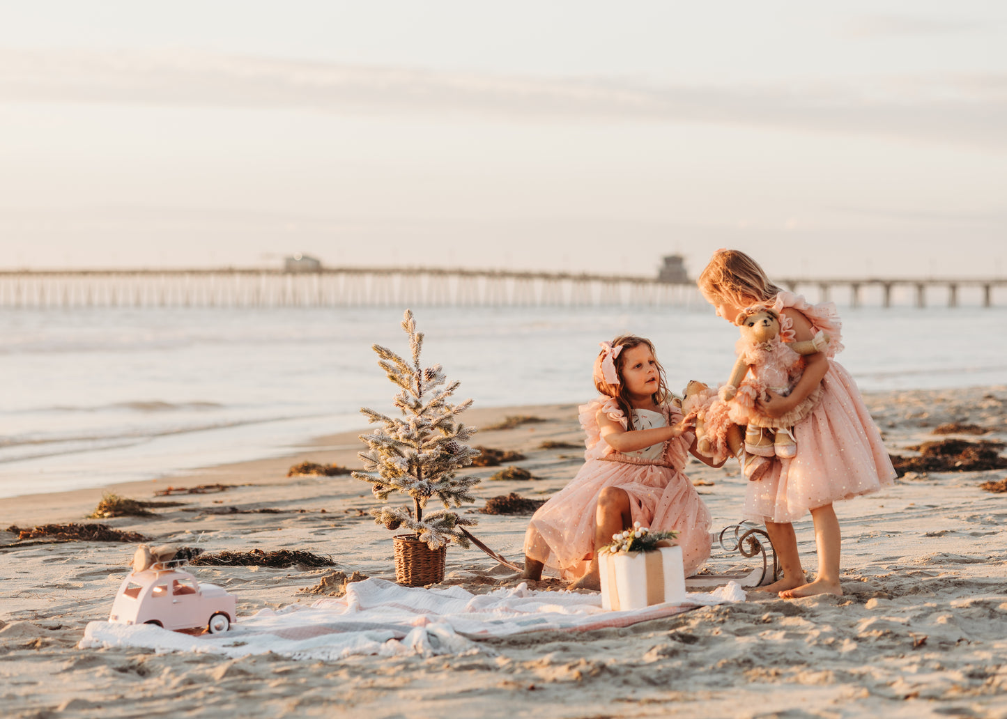 Clara's Enchanted Millie Dress - PREORDER
