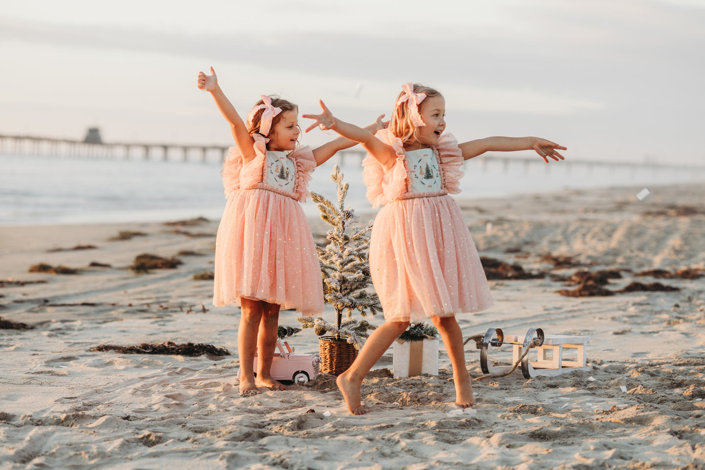 Clara's Enchanted Millie Dress - PREORDER