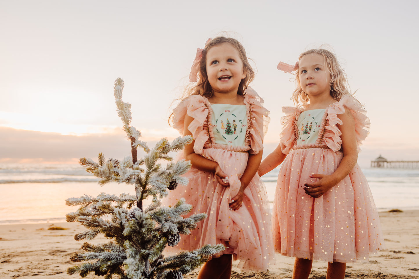 Clara's Enchanted Millie Dress - PREORDER