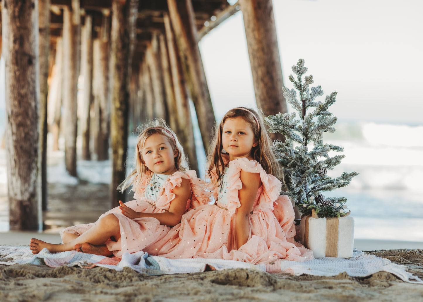 Clara's Enchanted Millie Dress - PREORDER