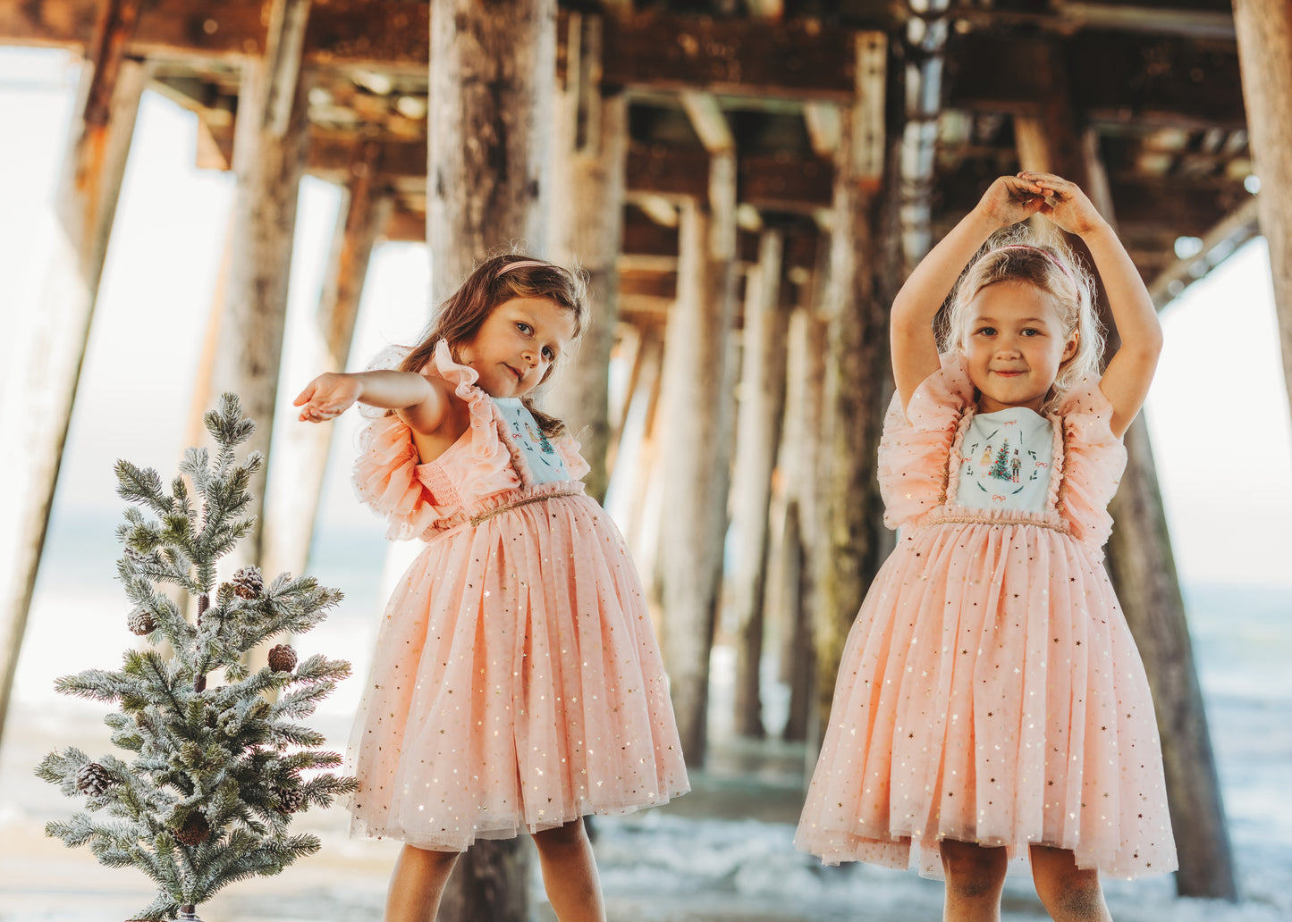 Clara's Enchanted Millie Dress - PREORDER