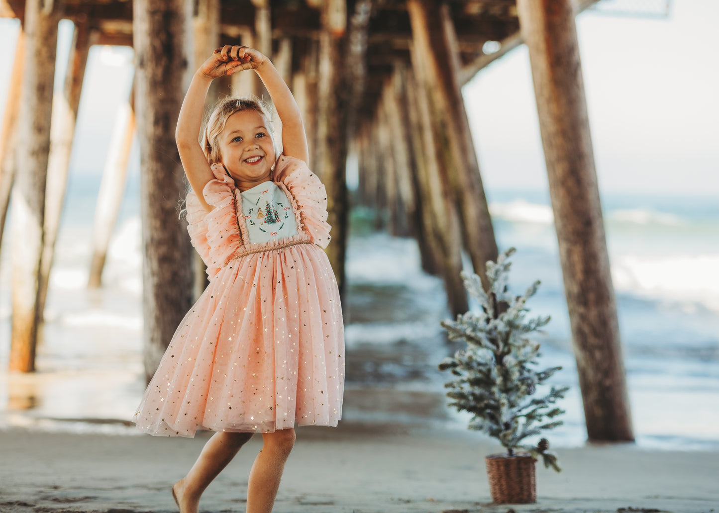 Clara's Enchanted Millie Dress - PREORDER