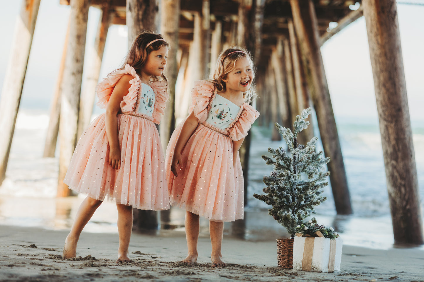 Clara's Enchanted Millie Dress - PREORDER