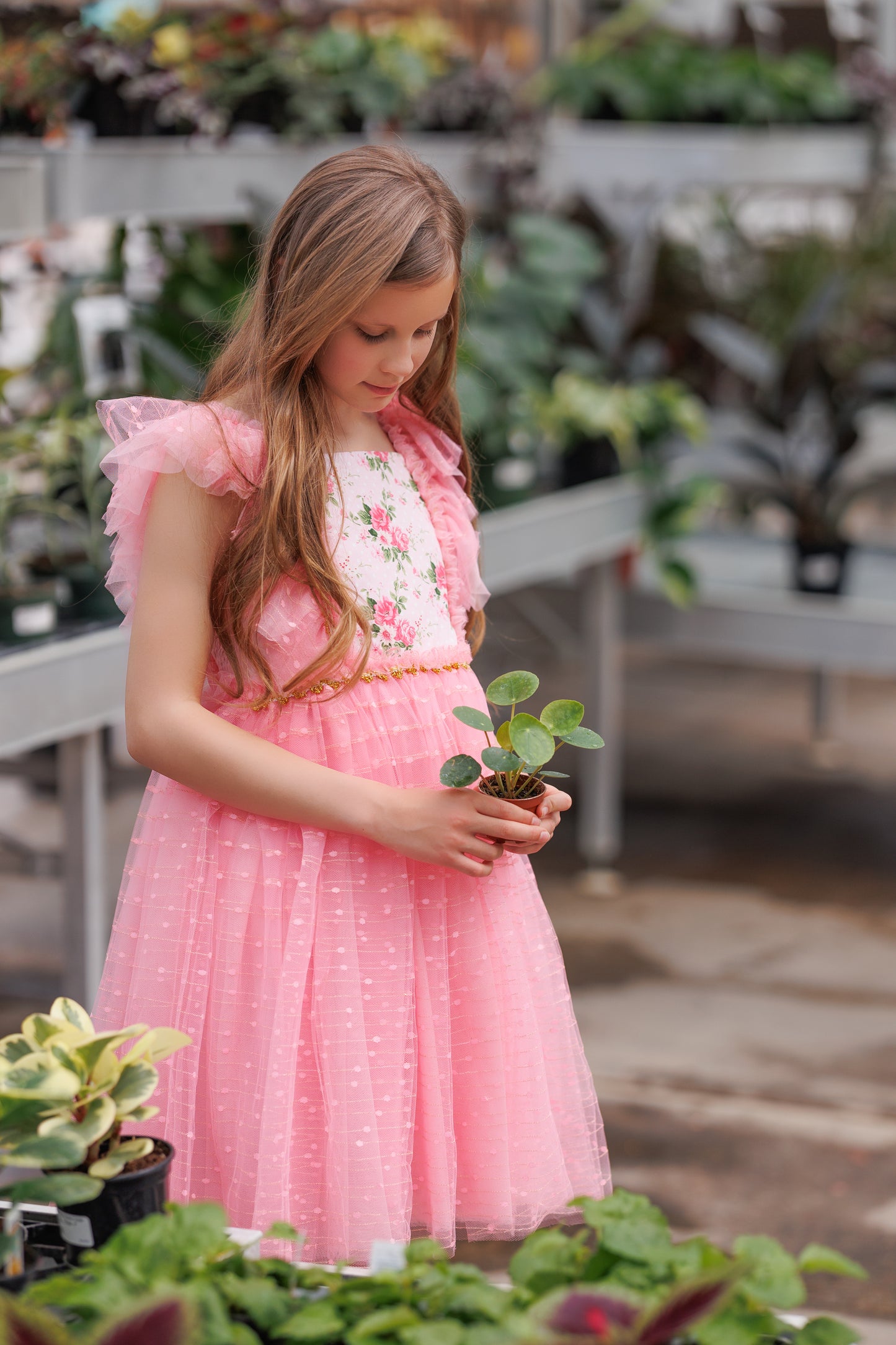 Millie's Cottage Rose Tulle Dress-READY TO SHIP