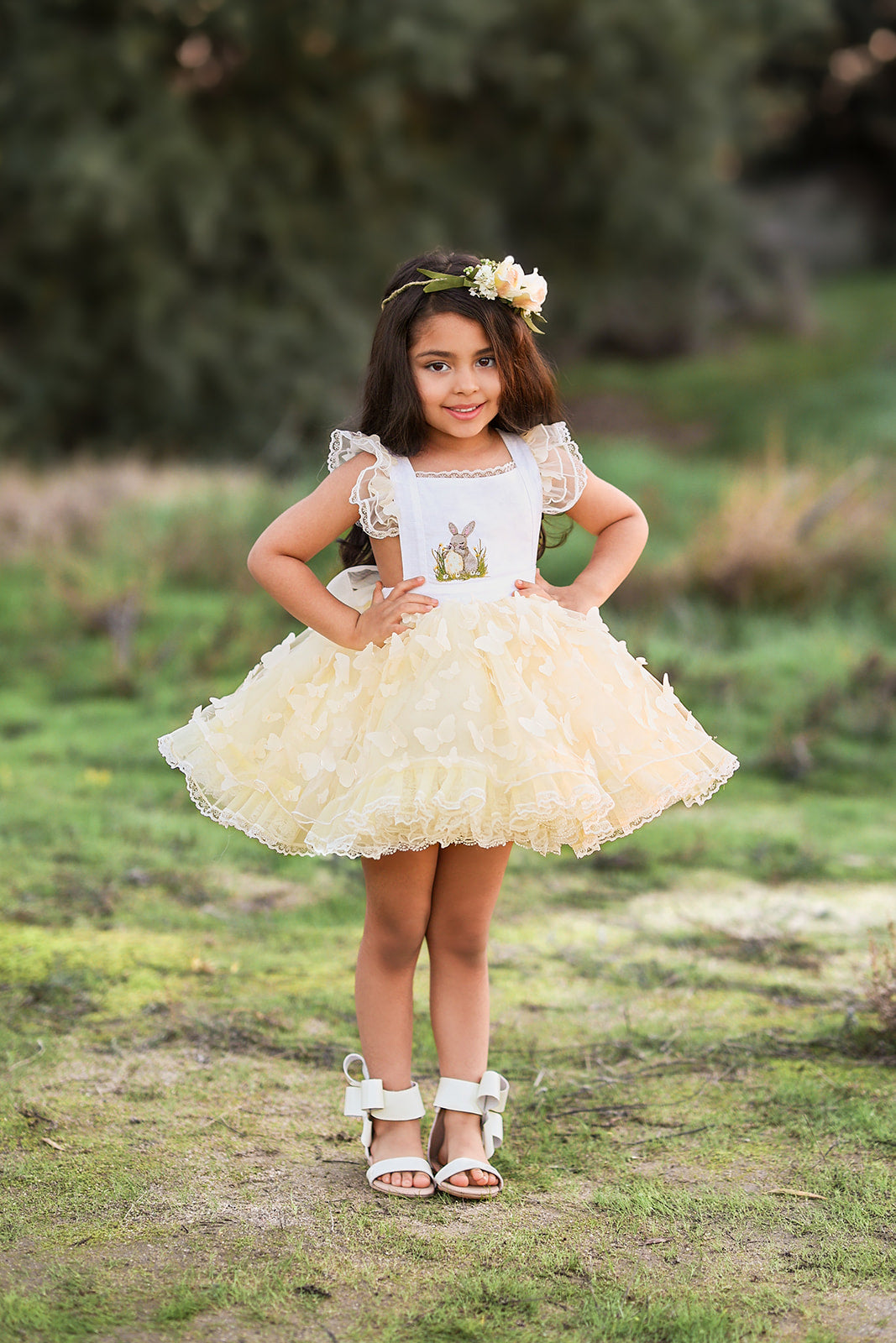 Elena's Bunny and Butterflies Pettiskirt Dress
