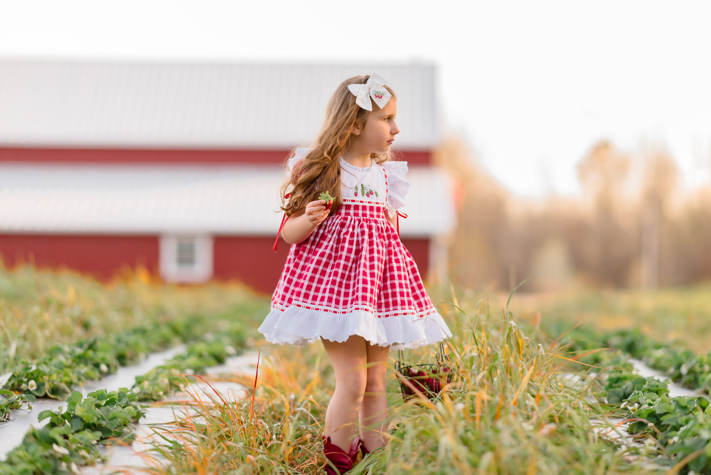 Ella Cate's Strawberry Dress