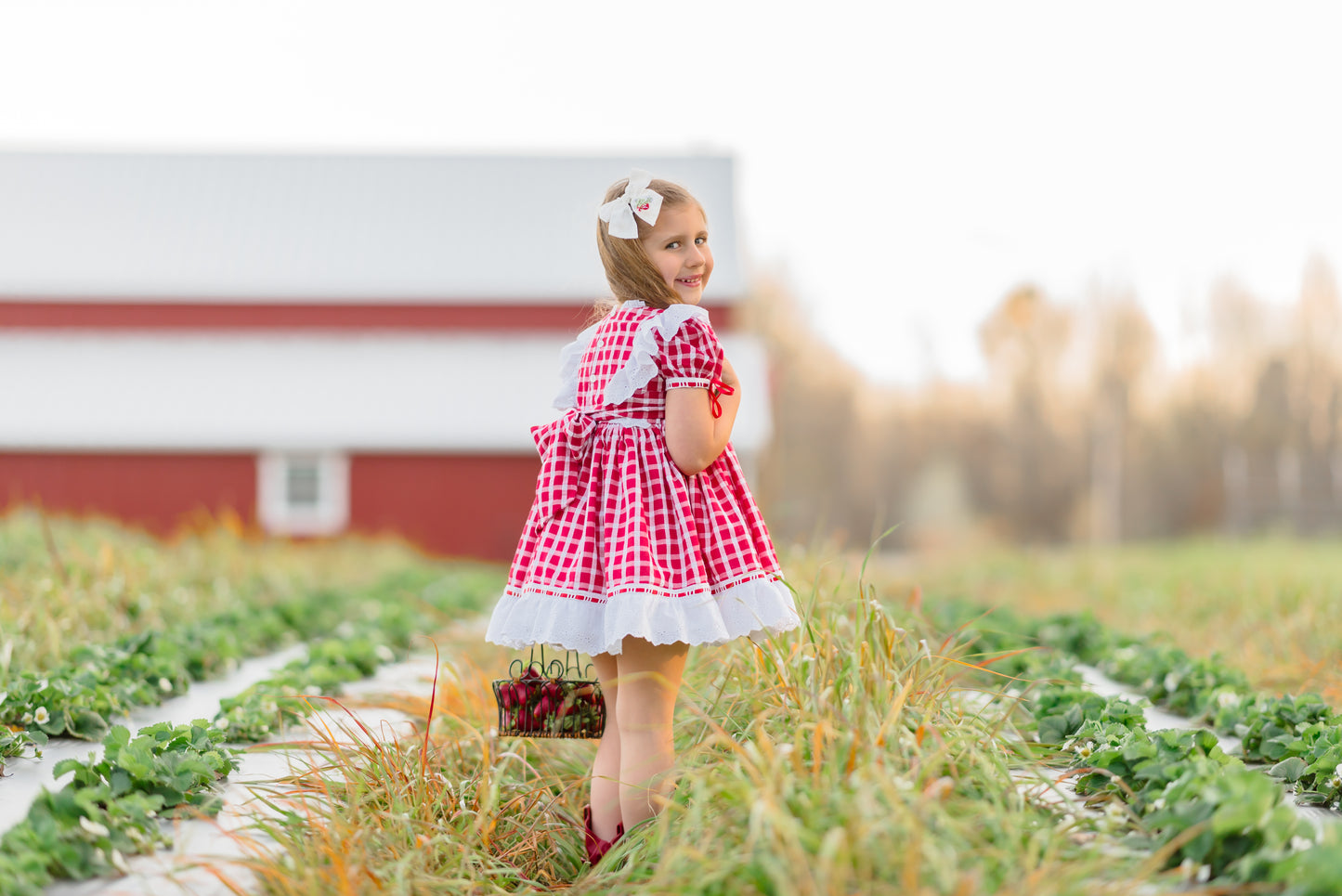 Ella Cate's Strawberry Dress