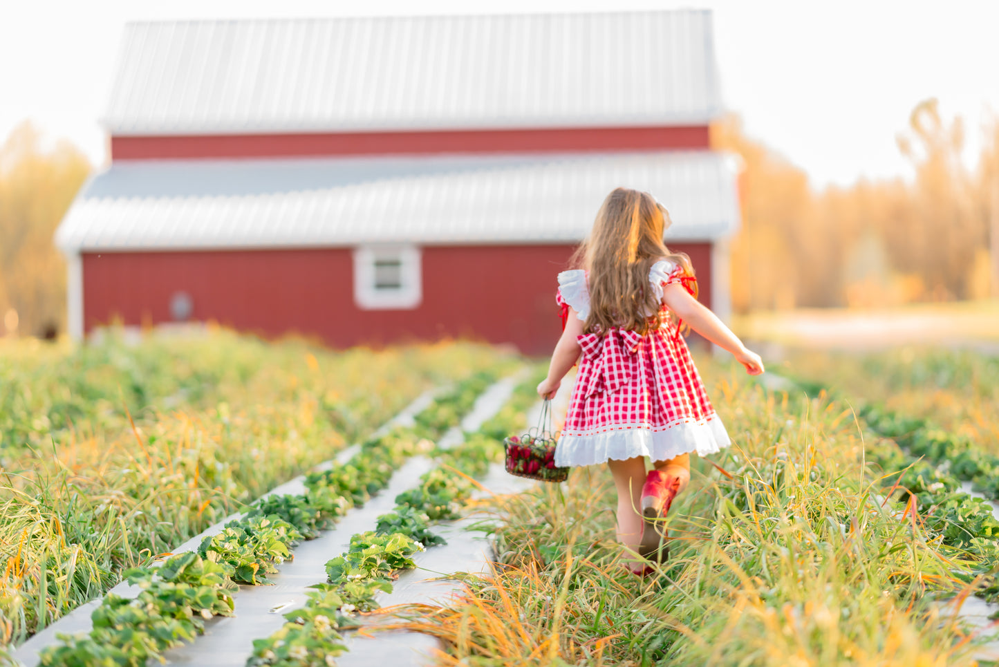 Ella Cate's Strawberry Dress