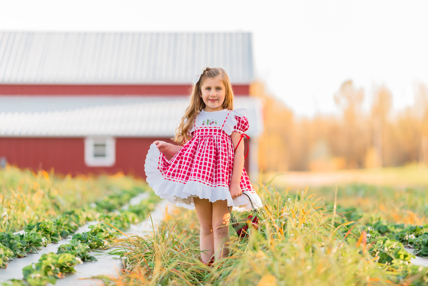 Ella Cate's Strawberry Dress