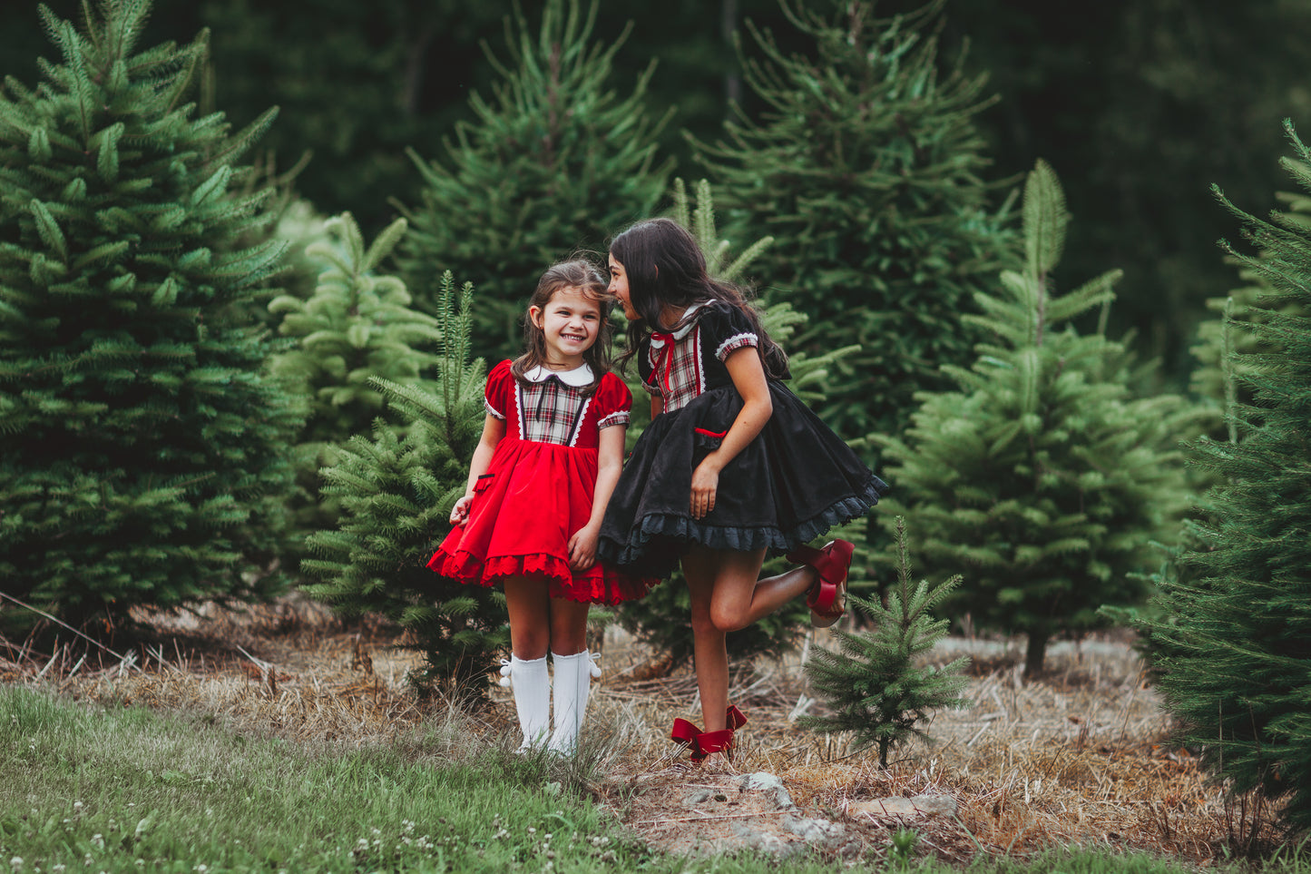 It's a Wonderful Life Velvet Vintage Dress Collection