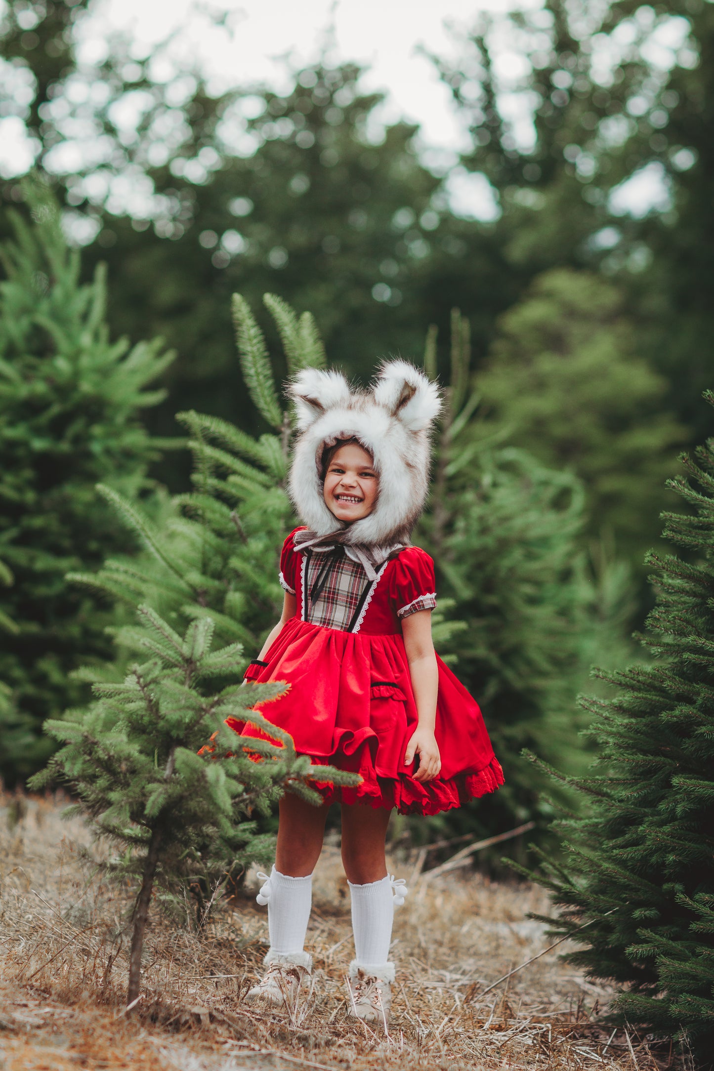 It's a Wonderful Life Velvet Vintage Dress Collection