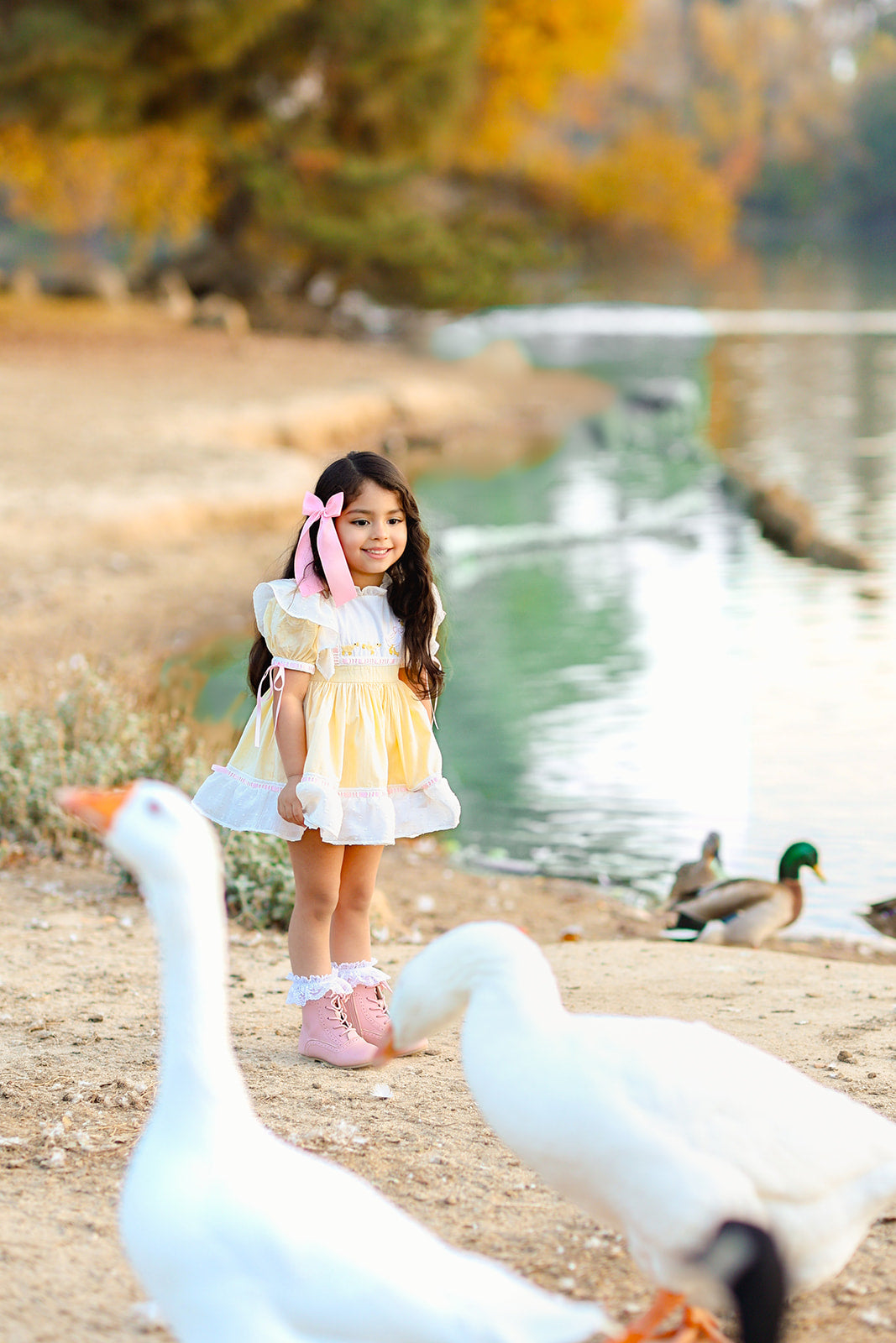 Emma June's Duck Parade Dress - PREORDER