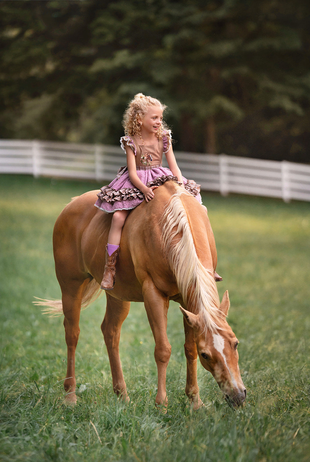 Wildflower Ranch Pettiskirt Dress - PREORDER