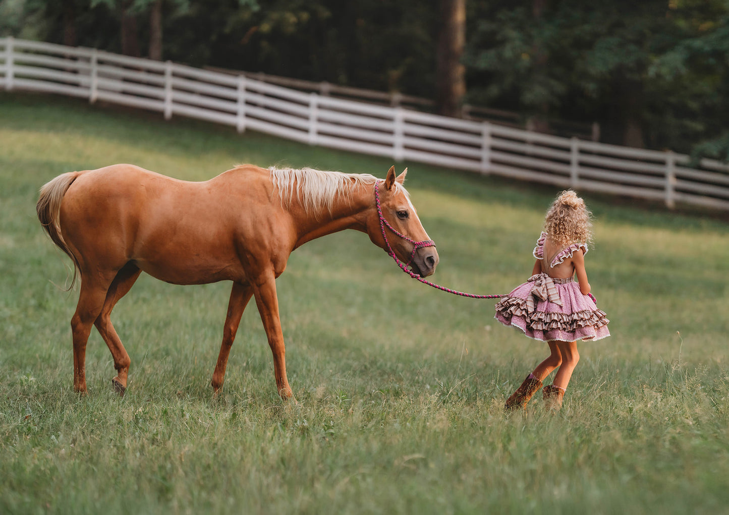 Wildflower Ranch Pettiskirt Dress - PREORDER