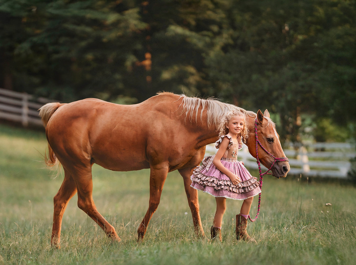 Wildflower Ranch Pettiskirt Dress - PREORDER