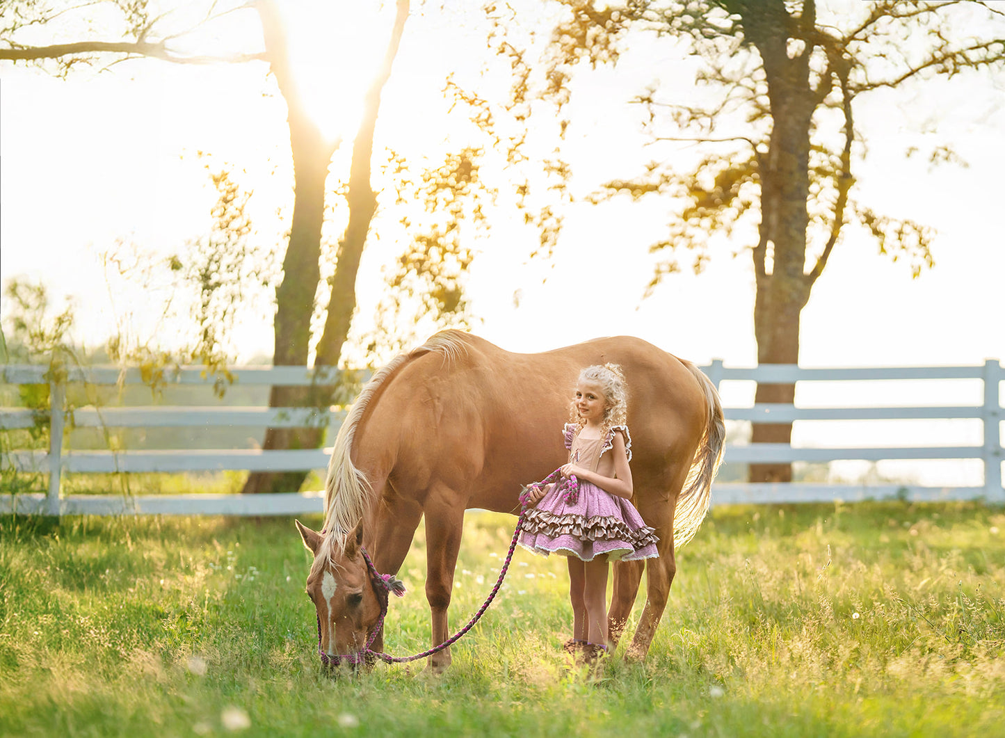 Wildflower Ranch Pettiskirt Dress - PREORDER