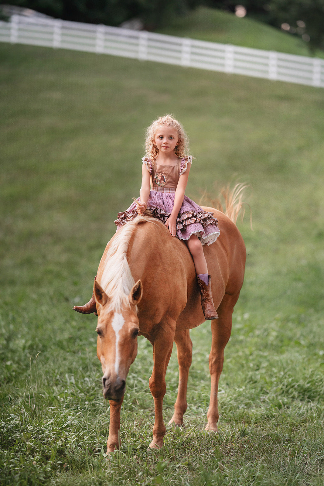 Wildflower Ranch Pettiskirt Dress - PREORDER