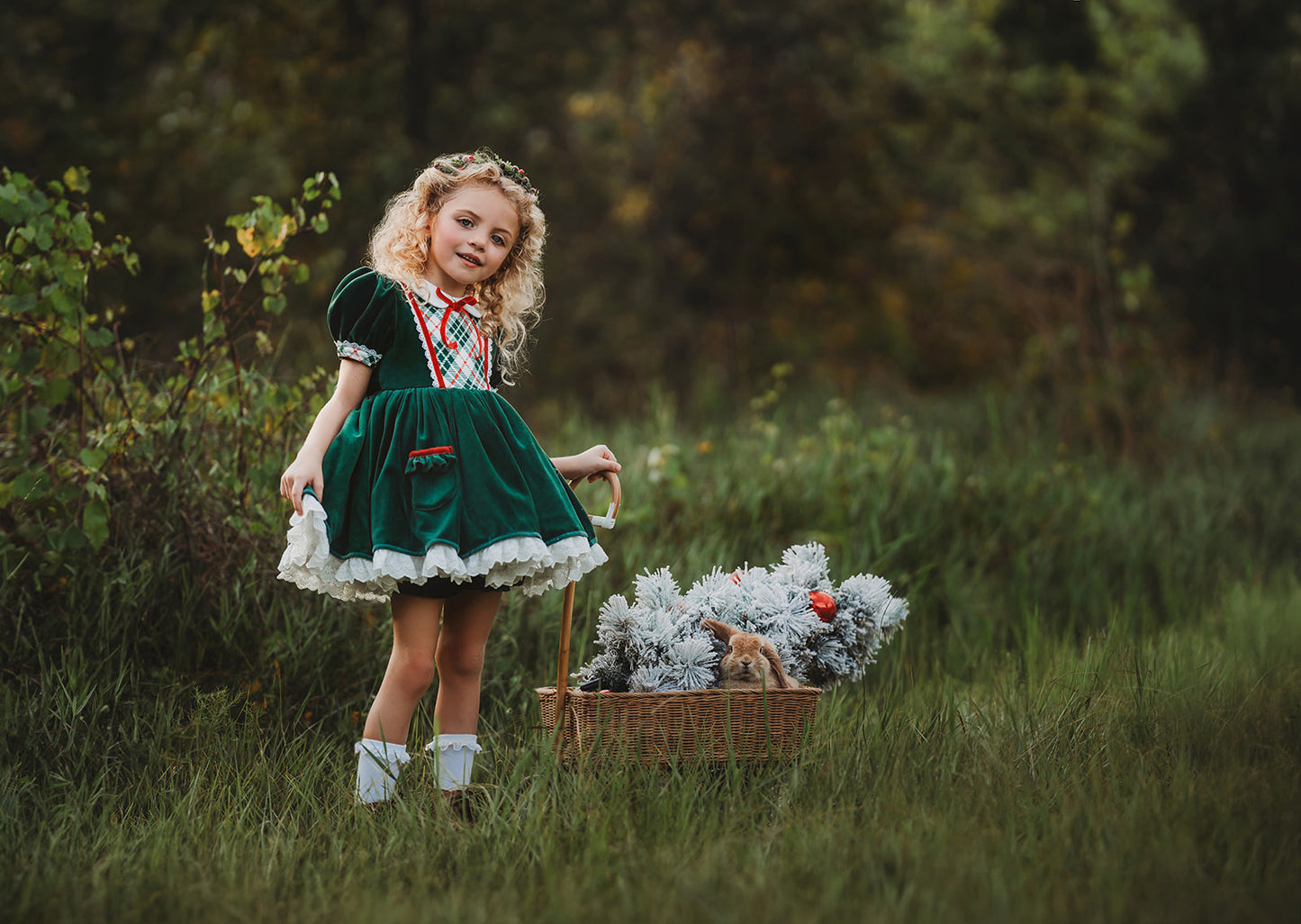 Vintage Velvet Noel Pettiskirt dress