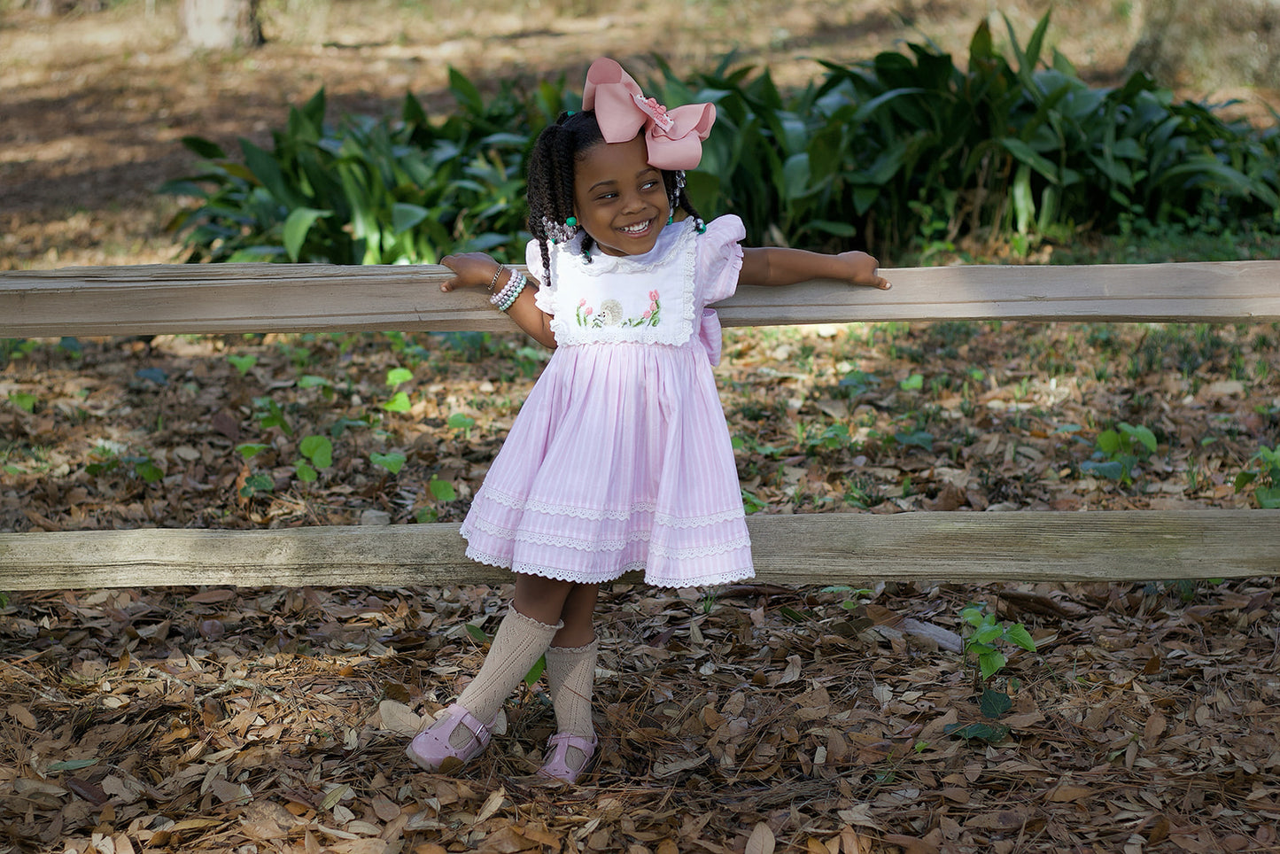 Kaliana's HedgeHugs & Kisses dress-ready to ship