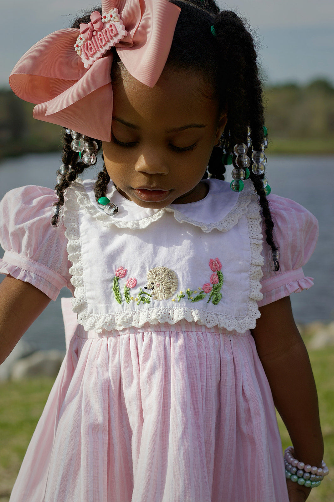 Kaliana's HedgeHugs & Kisses dress-ready to ship