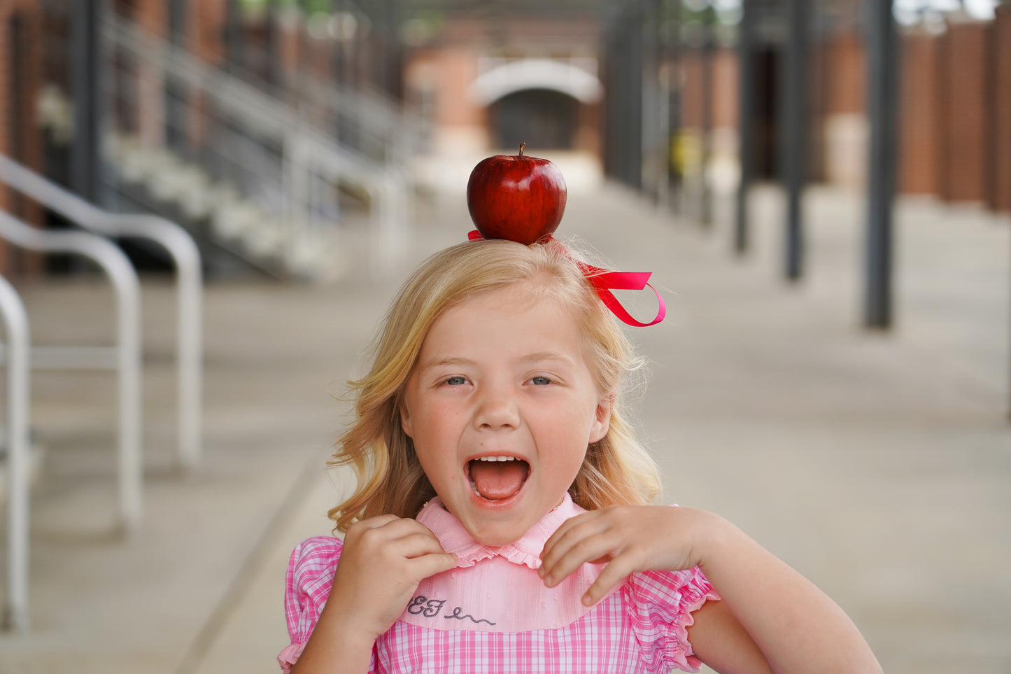 Waverli's Study Hall Sweetheart Back to School Dress PREORDER