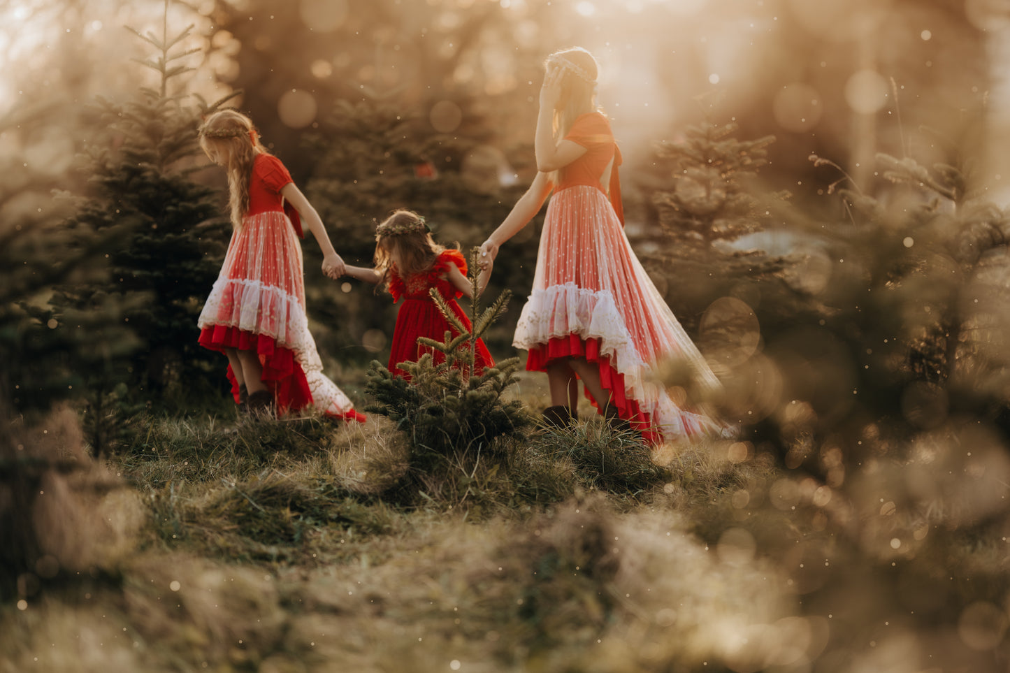 Madeline's Enchanted Ruby Holiday dress - READY TO SHIP