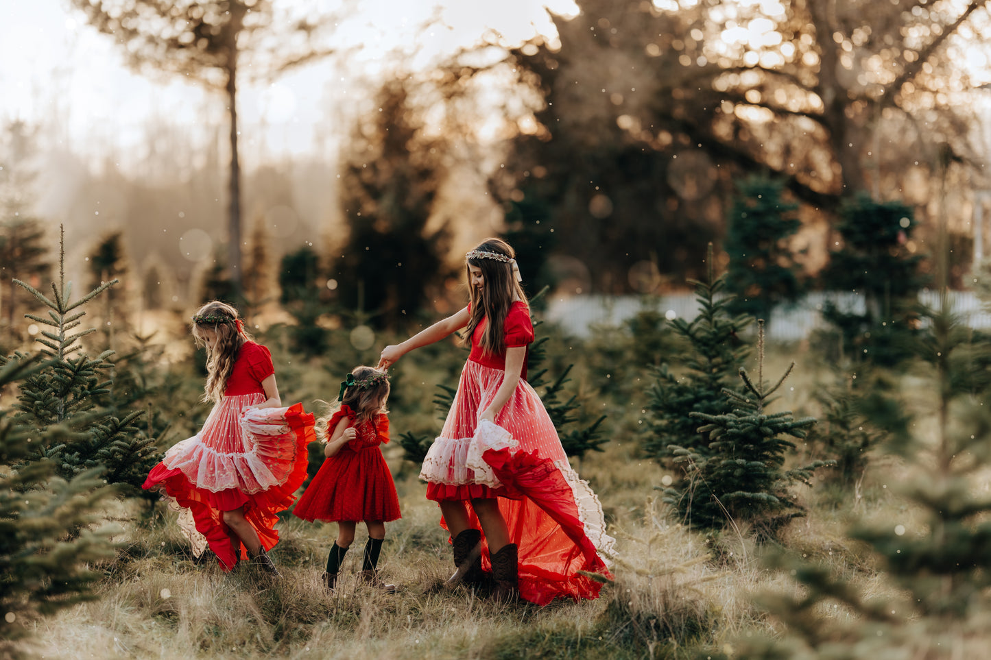 Madeline's Enchanted Ruby Holiday dress - READY TO SHIP