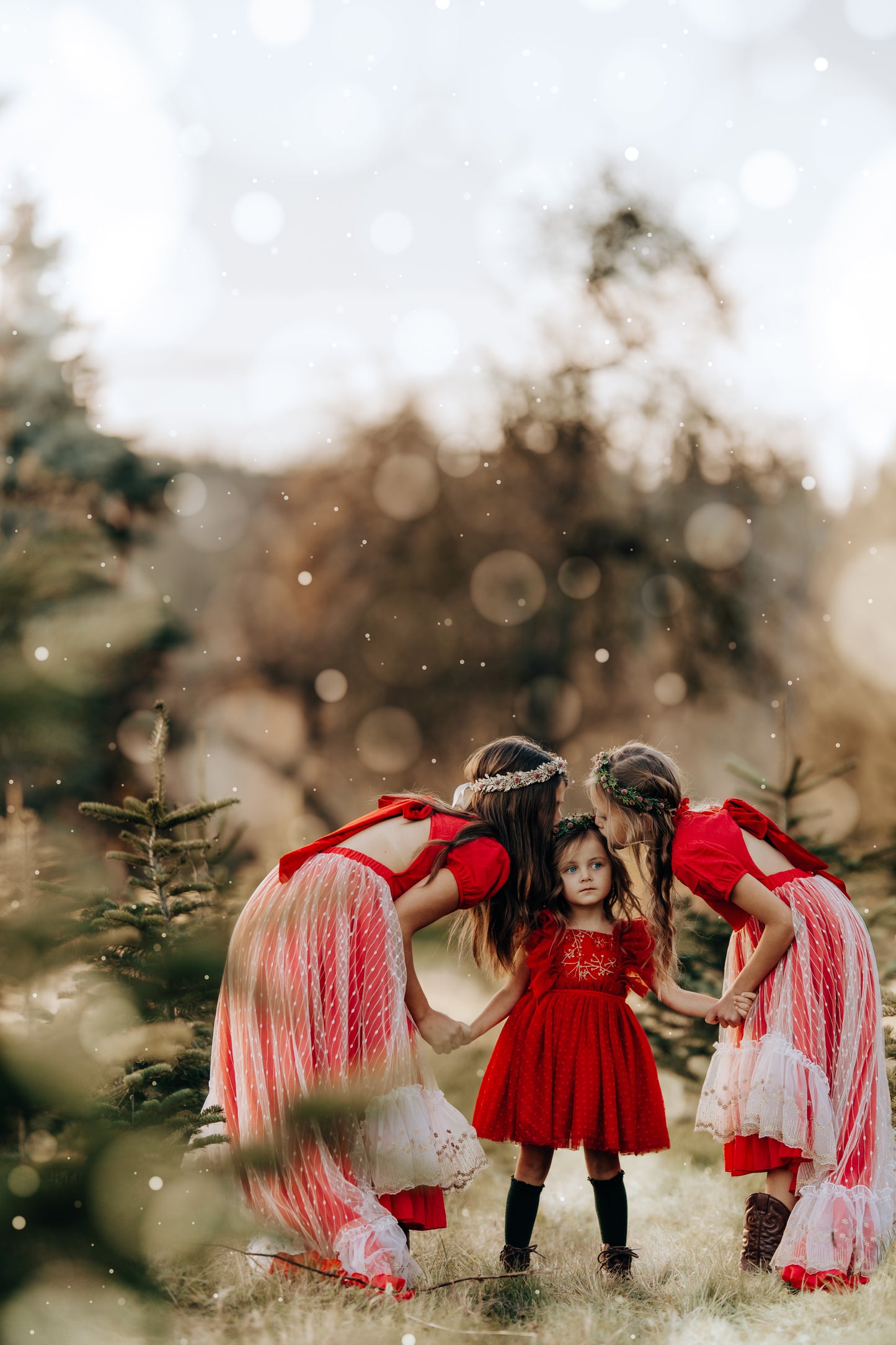 Madeline's Enchanted Ruby Holiday dress - READY TO SHIP