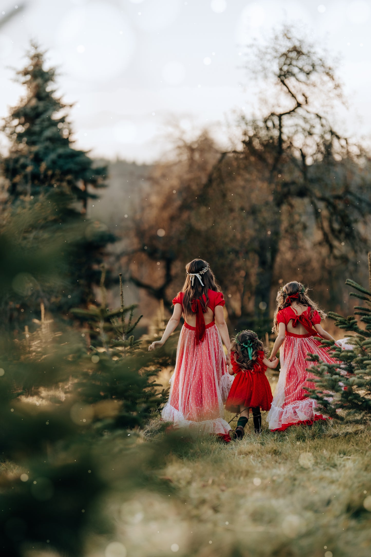 Madeline's Enchanted Ruby Holiday dress - READY TO SHIP