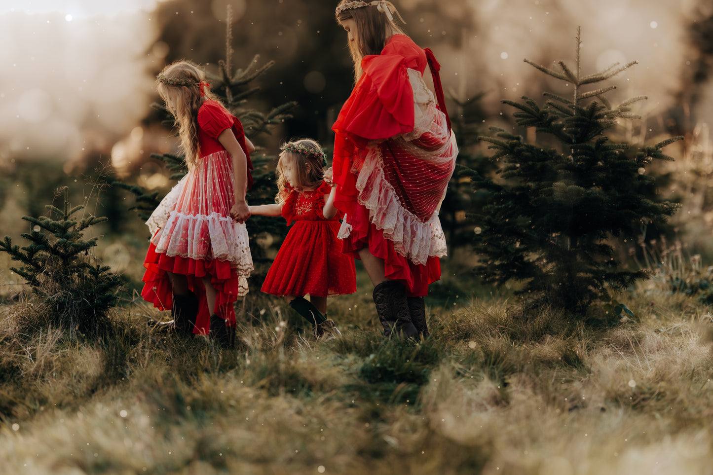 Madeline's Enchanted Ruby Holiday dress - READY TO SHIP
