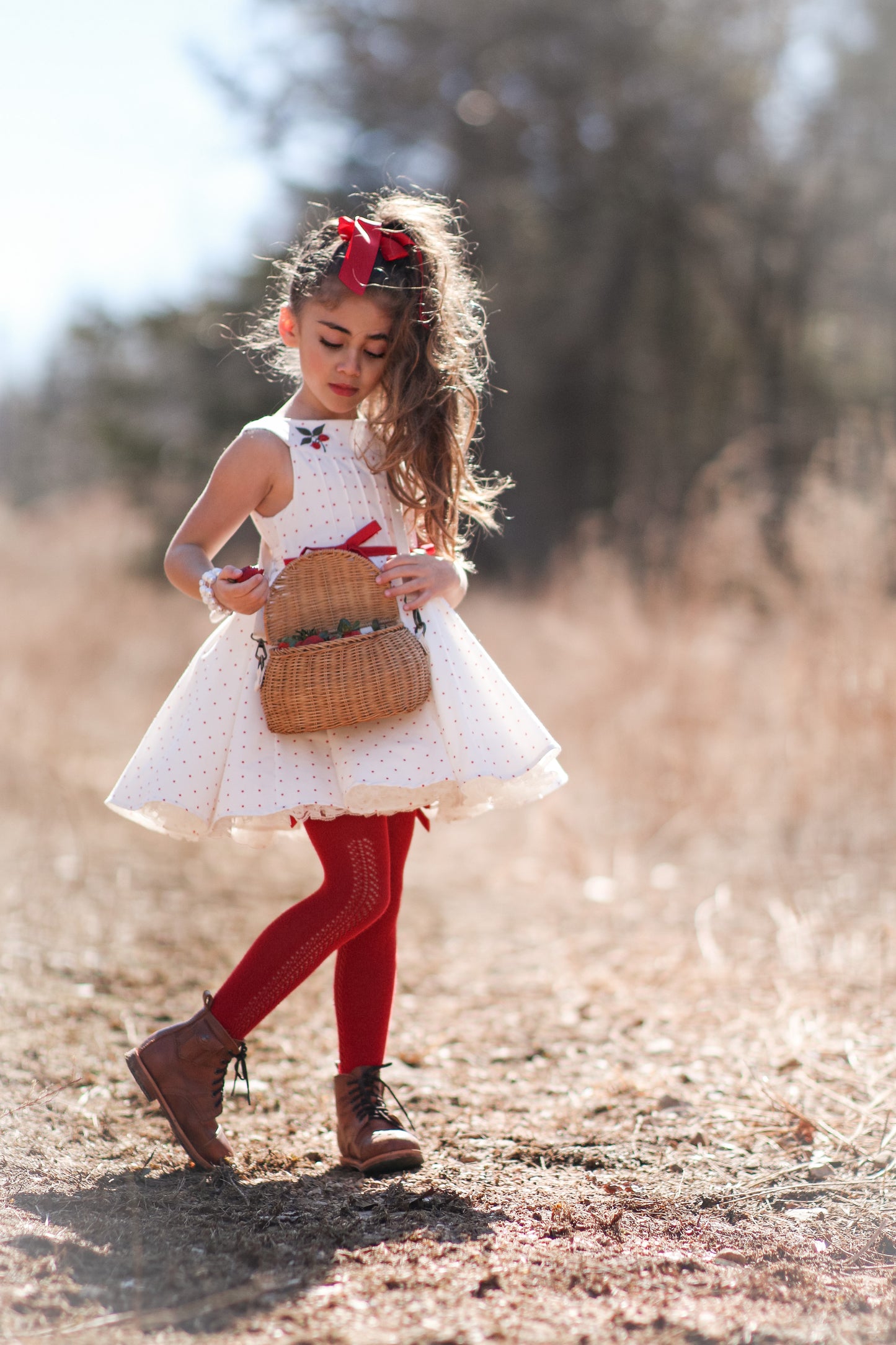 Berry Sweet Holly Dress