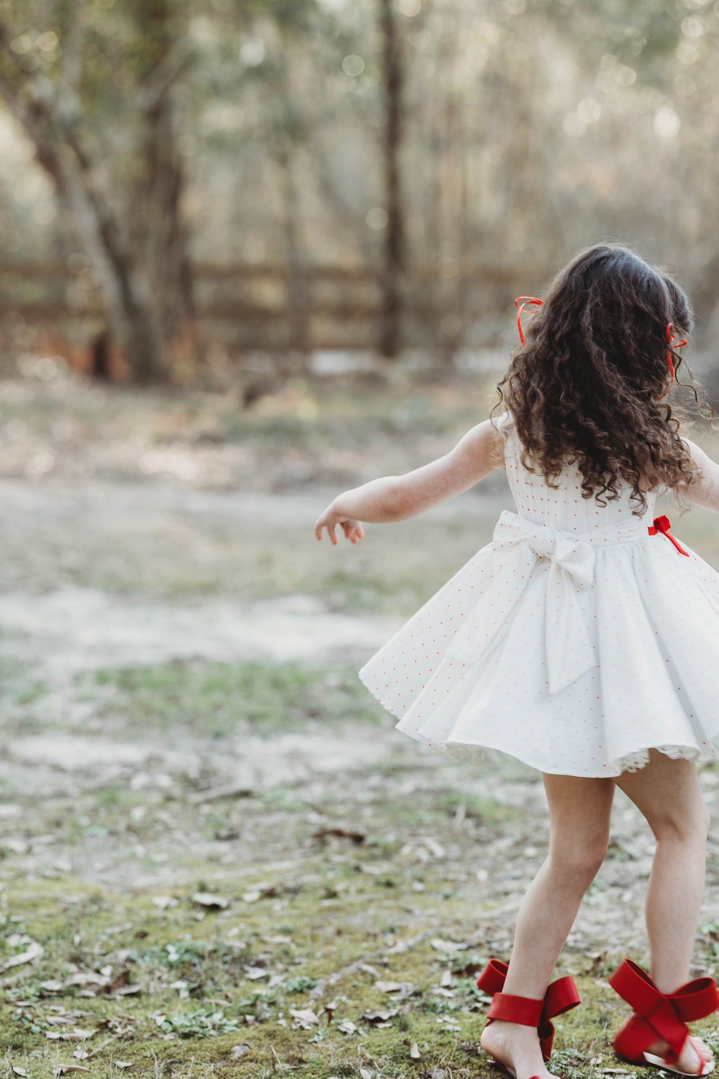 Berry Sweet Holly Dress