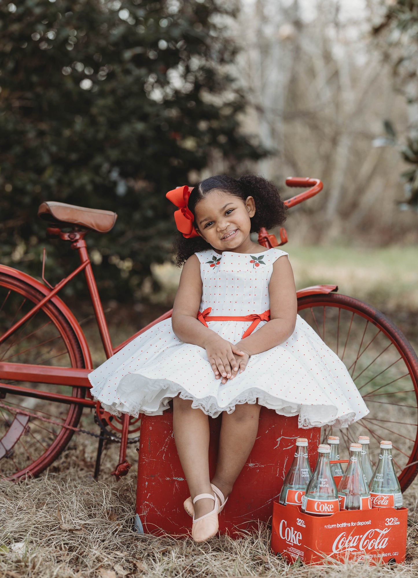 Berry Sweet Holly Dress