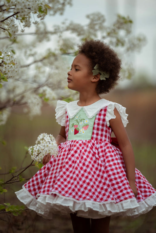 Valentina's Berry Sweet Strawberry Dress