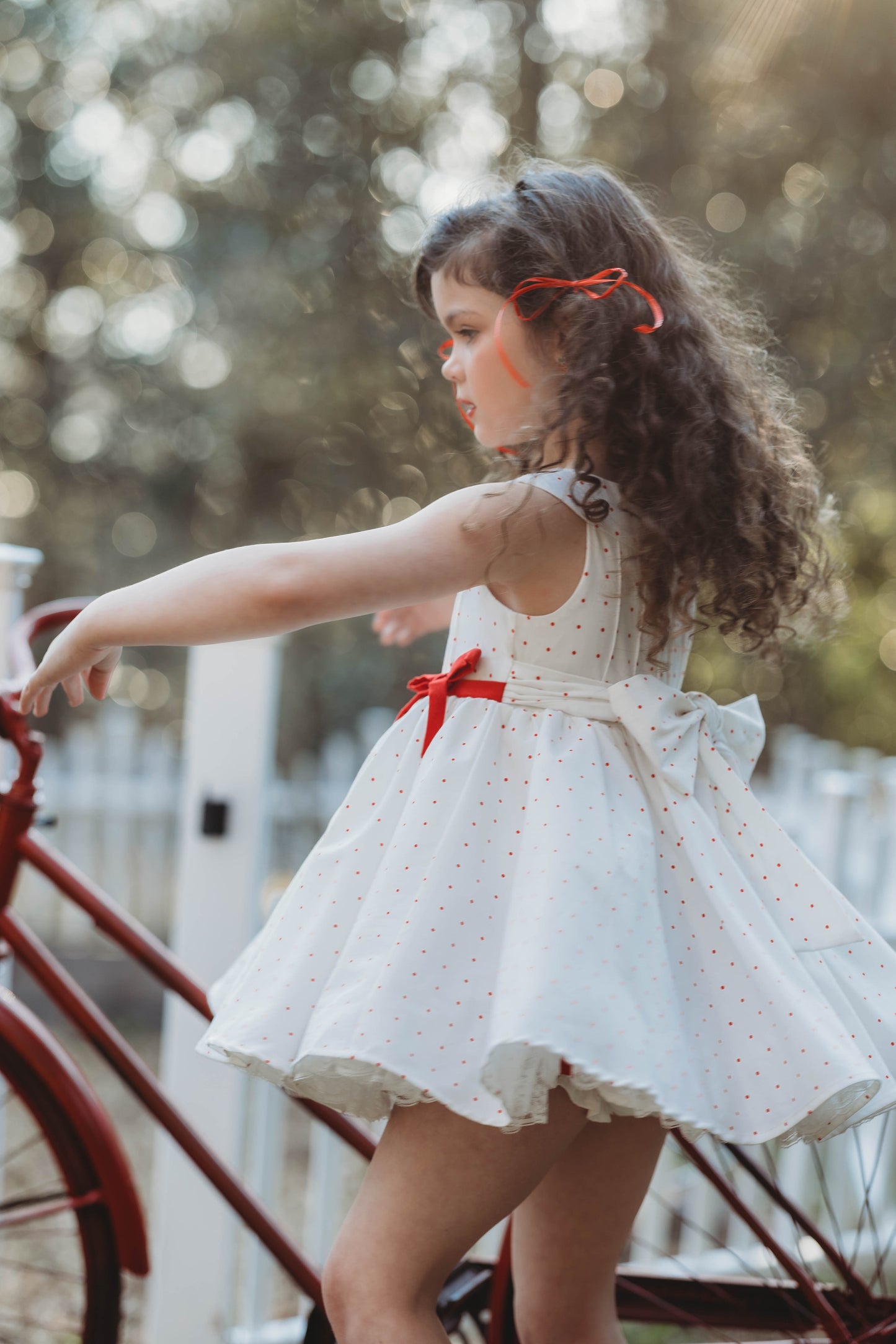 Berry Sweet Holly Dress