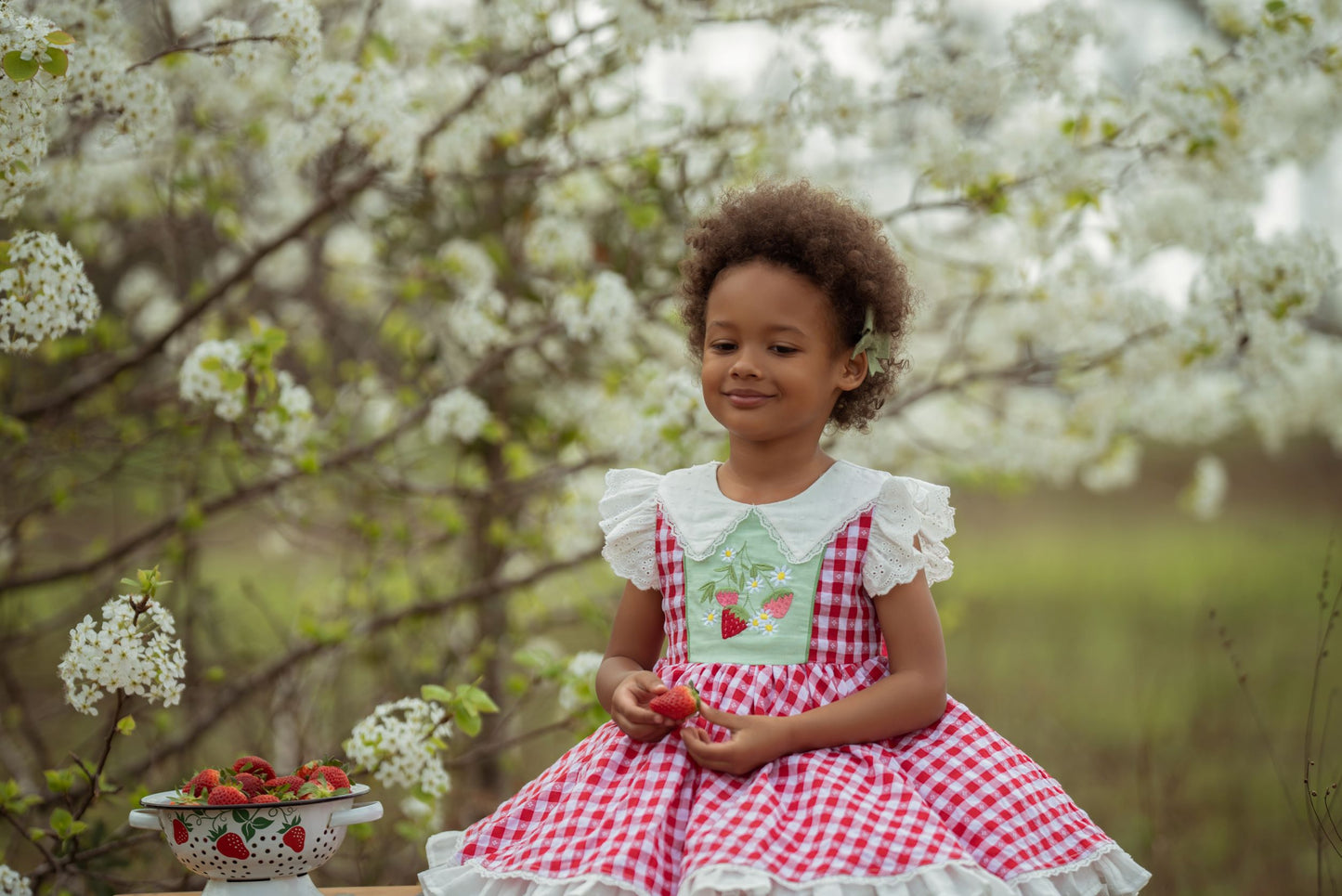 Valentina's Berry Sweet Strawberry Dress