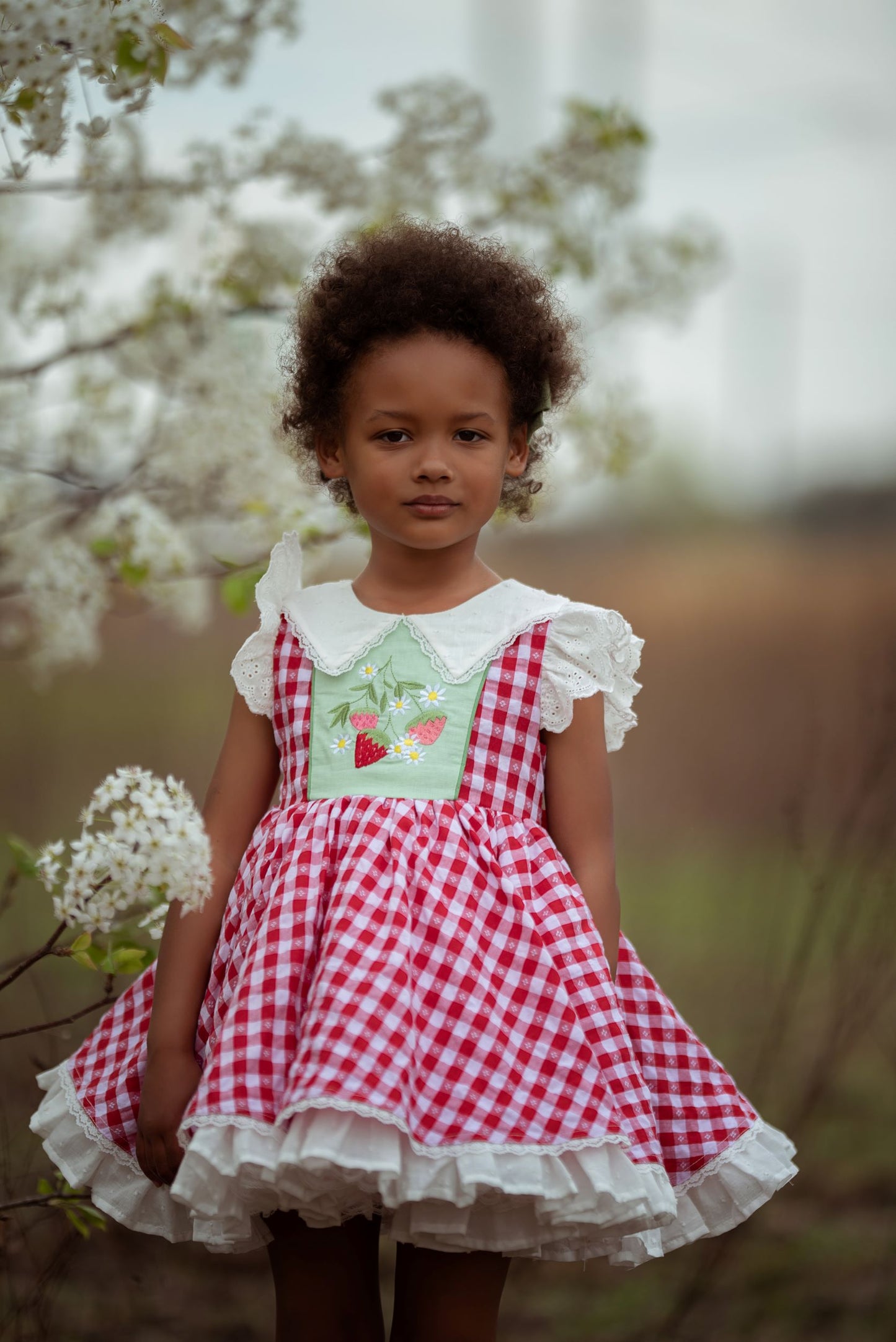 Valentina's Berry Sweet Strawberry Dress