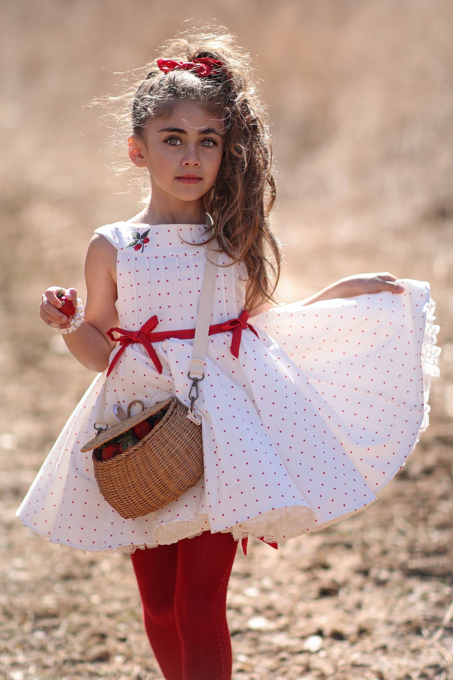 Berry Sweet Holly Dress