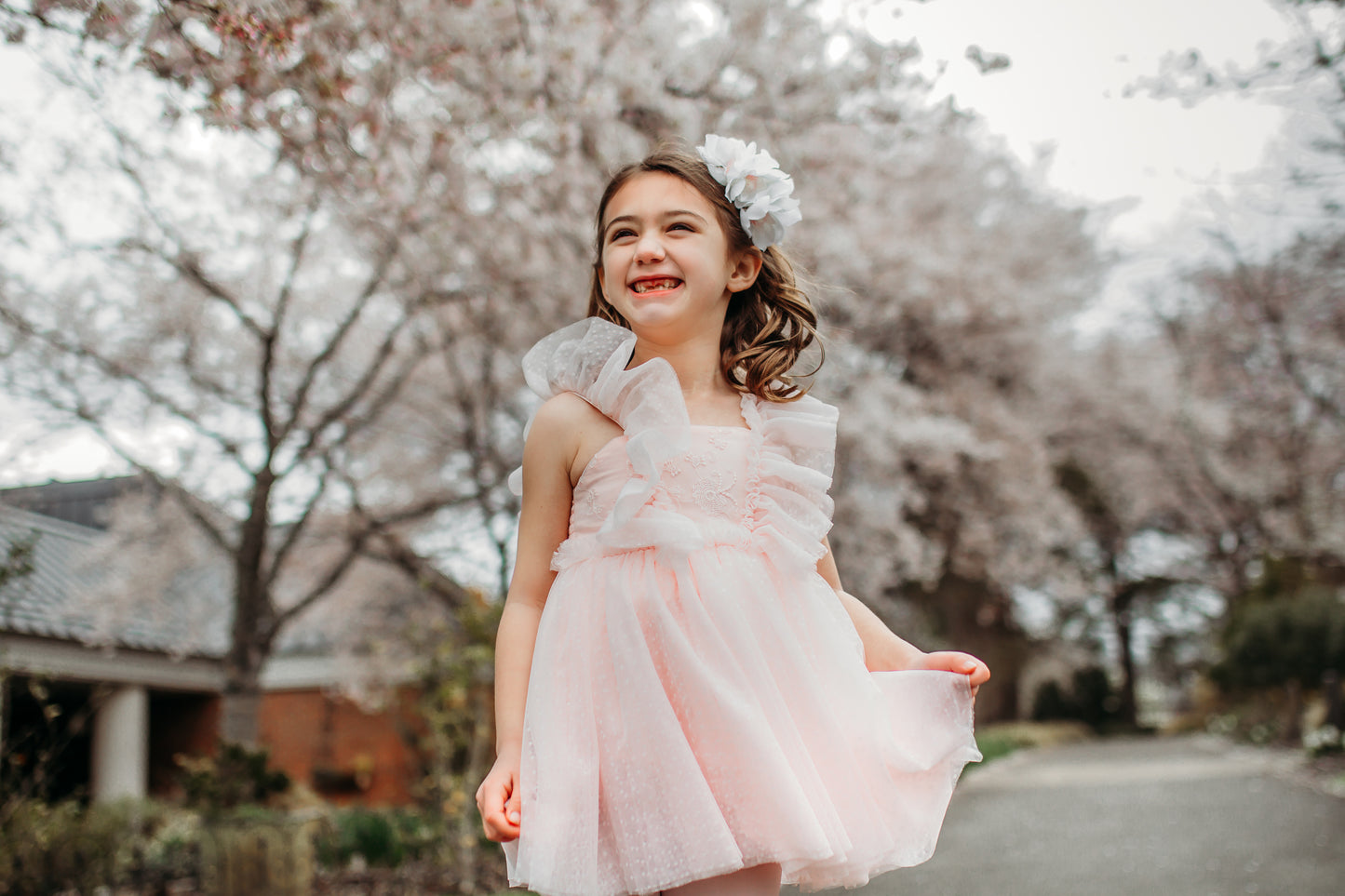 Millie's Celebration Dress