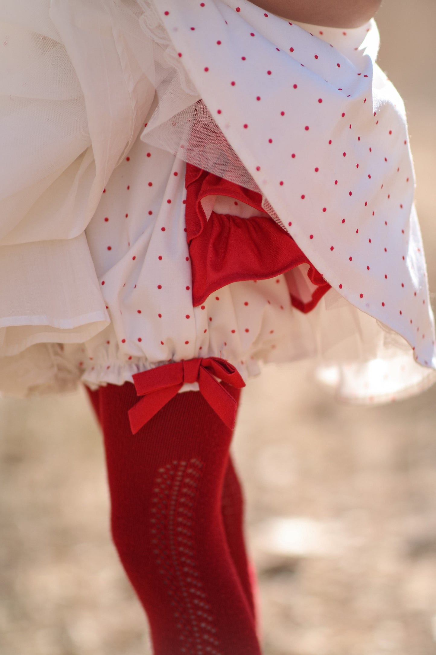 Berry Sweet Holly Dress