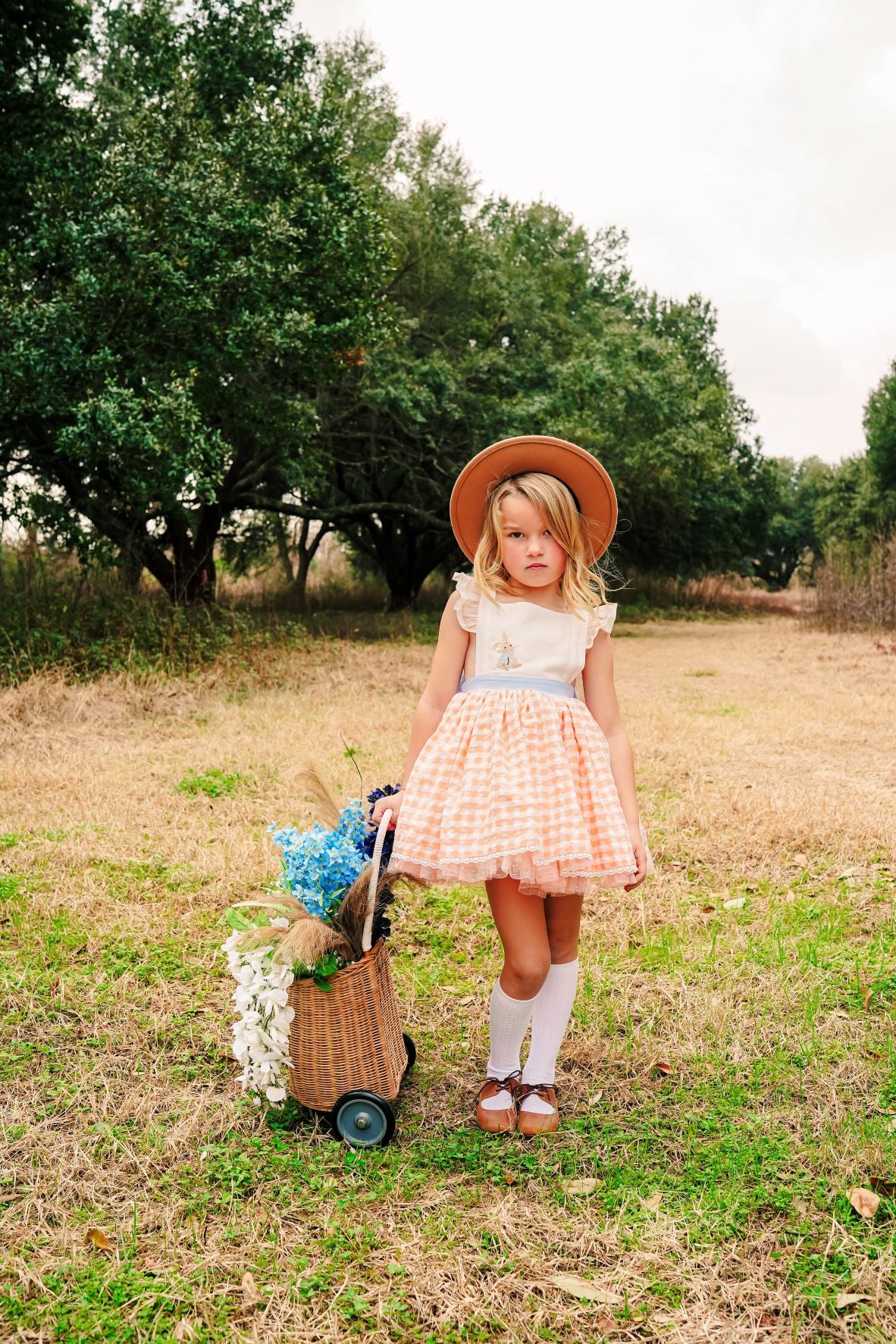 Clemmie's Carrots Vintage Orange Plaid Dress