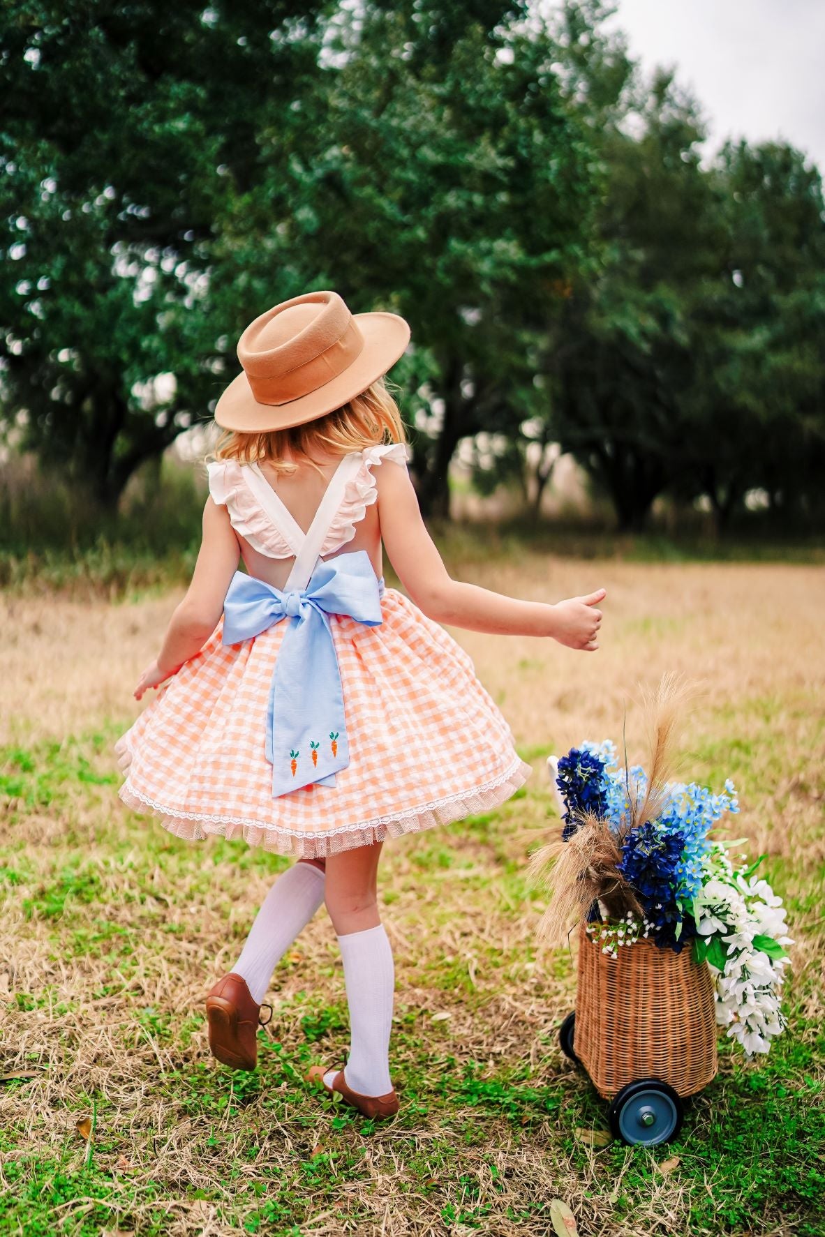 Clemmie's Carrots Vintage Orange Plaid Dress