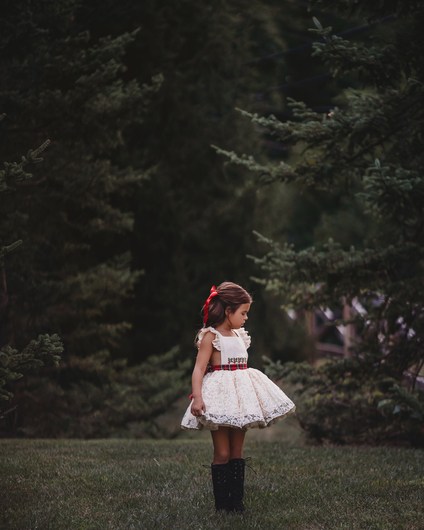 Wren's Winterberry Vintage Christmas Lace Dress
