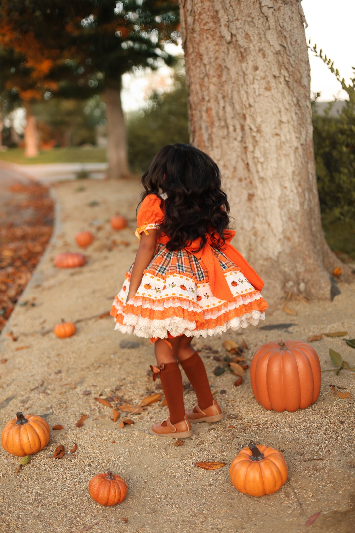 Gracieanne's Harvest Hymn Pettiskirt Dress - PREORDER